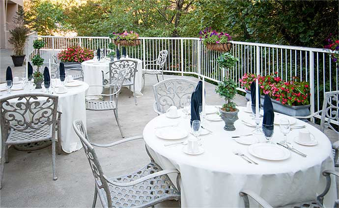 Tree-Top Lined Terrace